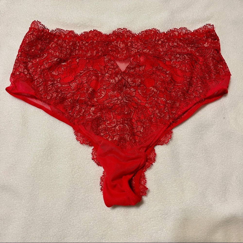 Red mesh and lace panty